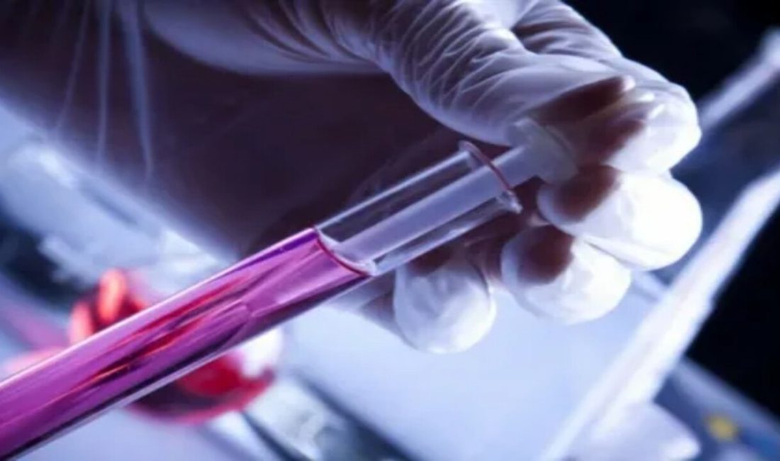 Kanser İmmünoterapisi Derneği’nin Başkanı