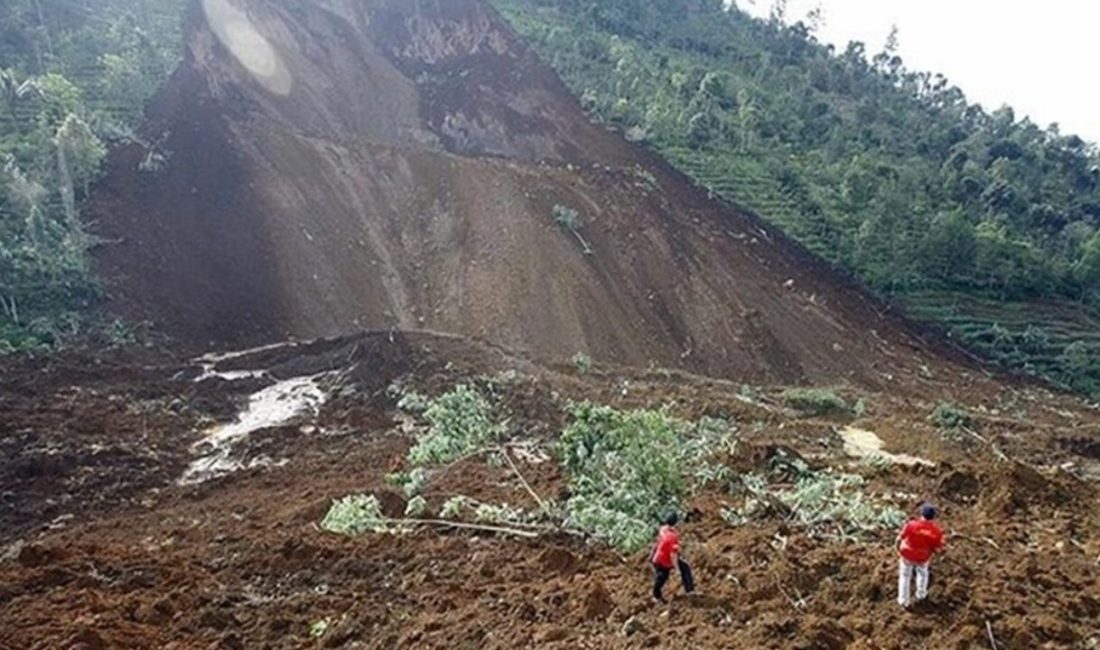 Papua Yeni Gine'de heyelanların