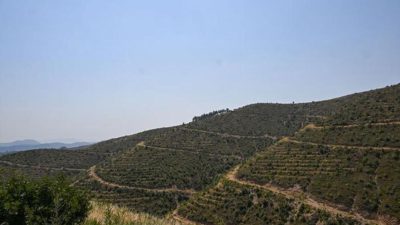 İzmir Valiliği duyurdu: Girişler yasaklandı