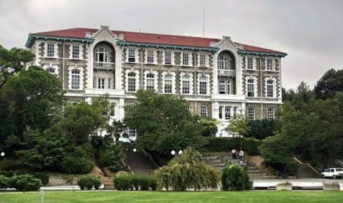 Boğaziçi Üniversitesi’nde vahşet: Kafası kesik yavru kedi bulundu! Boğaziçi Üniversitesi Güney Kampüsü'nde