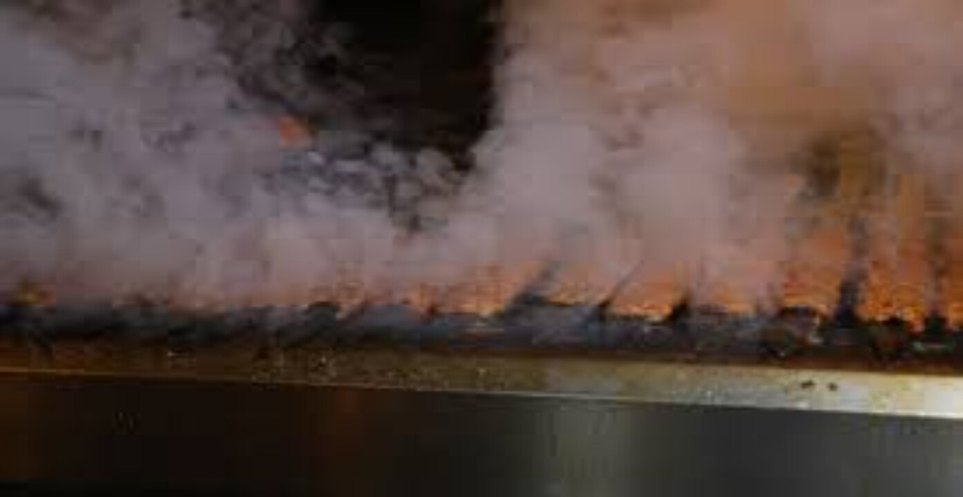 BESİN ZEHİRLENMESİ