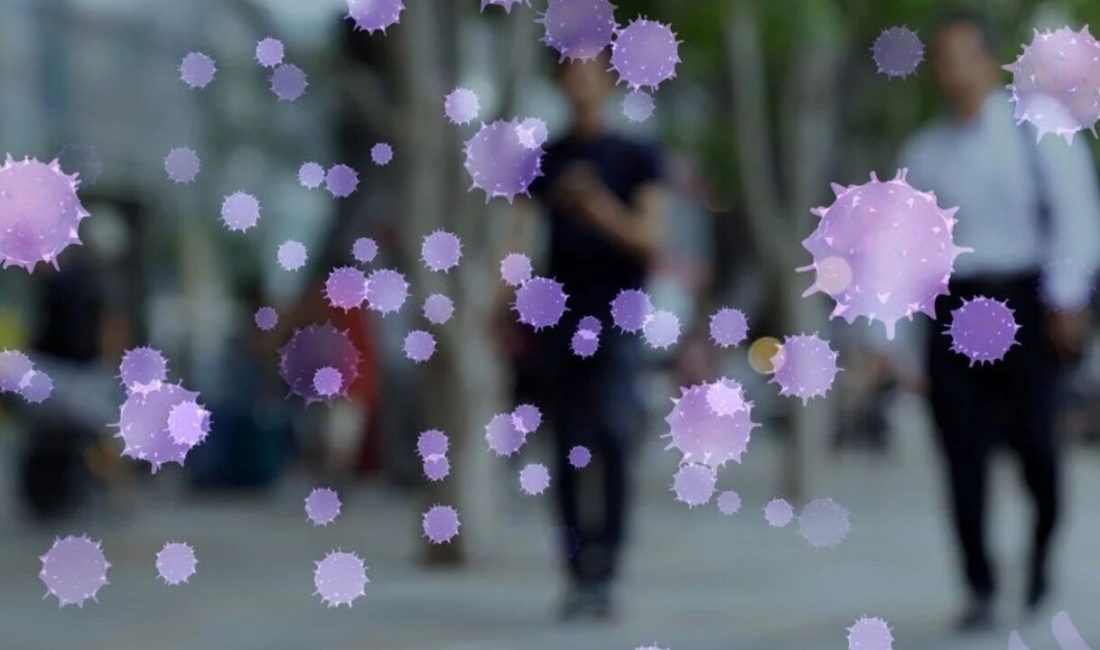 Virüs tehlikesi hortladı: 6 kişi hayatını kaybetti Yunanistan'da Batı Nil virüsü