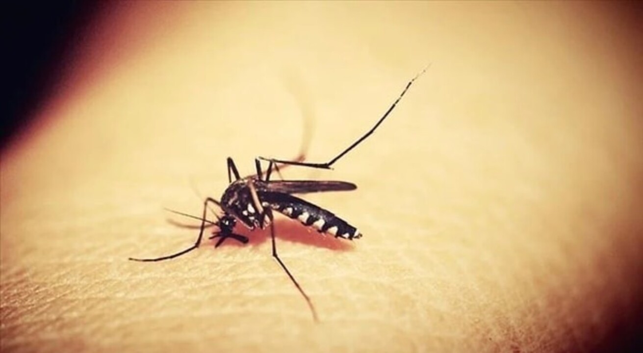 Virüs tehlikesi hortladı 6 kişi hayatını kaybetti